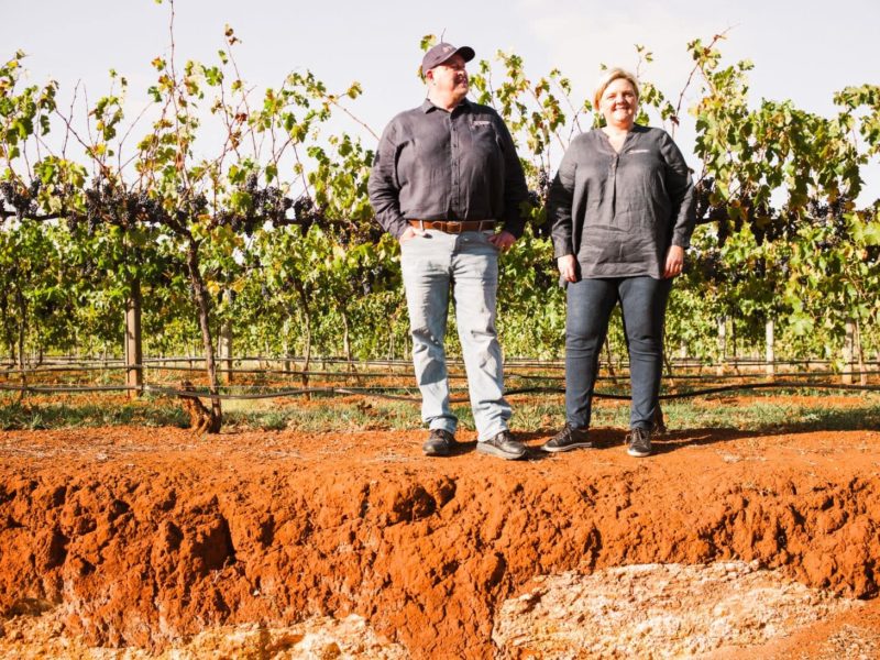 Coonawarra Experiences taking in the famous Terra Rossa.
