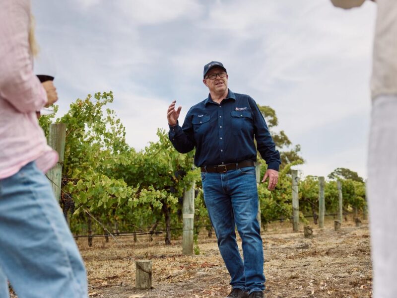FuHosted Coonawarra wine tour with Simon guiding guests in vineyard Limestone Coast South Australially hosted Coonawarra wine tour with guide speaking in vineyard on the Limestone Coast South Australia
