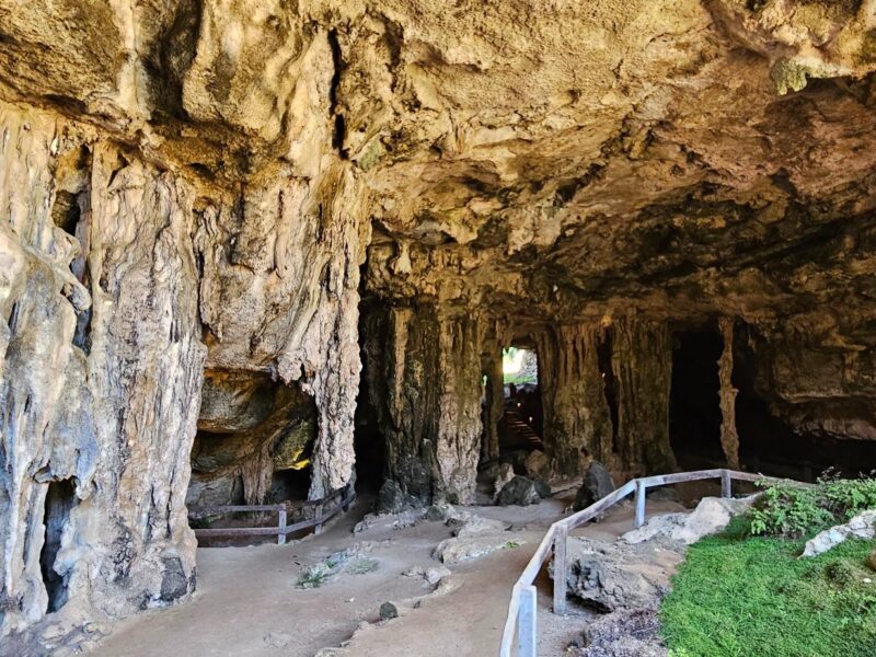 Entrance area of Naracoorte Caves, showcasing large stalactites and rock formations with a pathway leading into the cave.