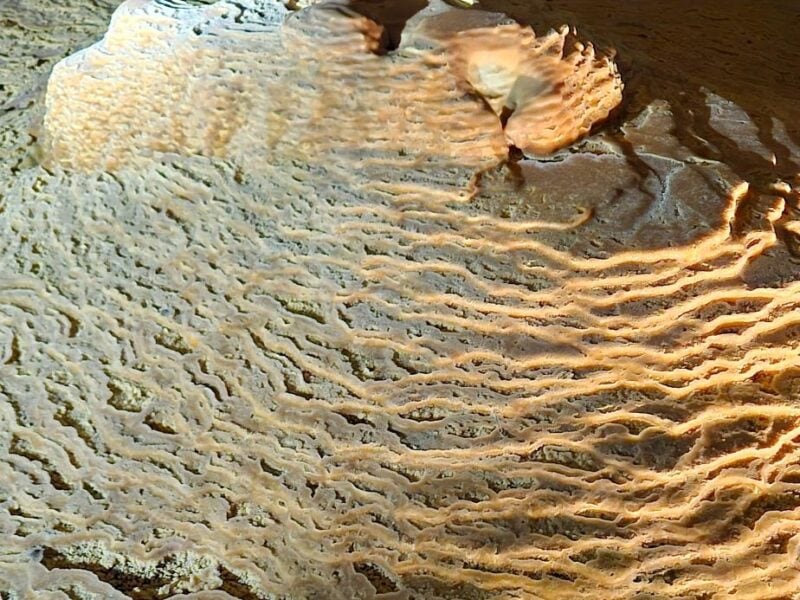 Close-up of intricate limestone formations inside Naracoorte Caves.