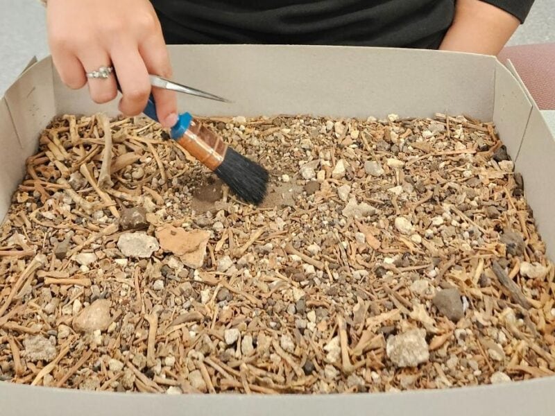 A hand holding a small brush, working on a tray of dirt and small rocks, simulating an archaeological dig.