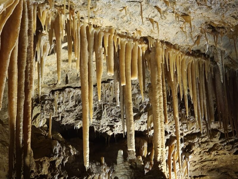 Close-up of stalactites hanging from a cave ceiling, highlighted by earthy tones and rugged textures, showcasing natural cave formations.