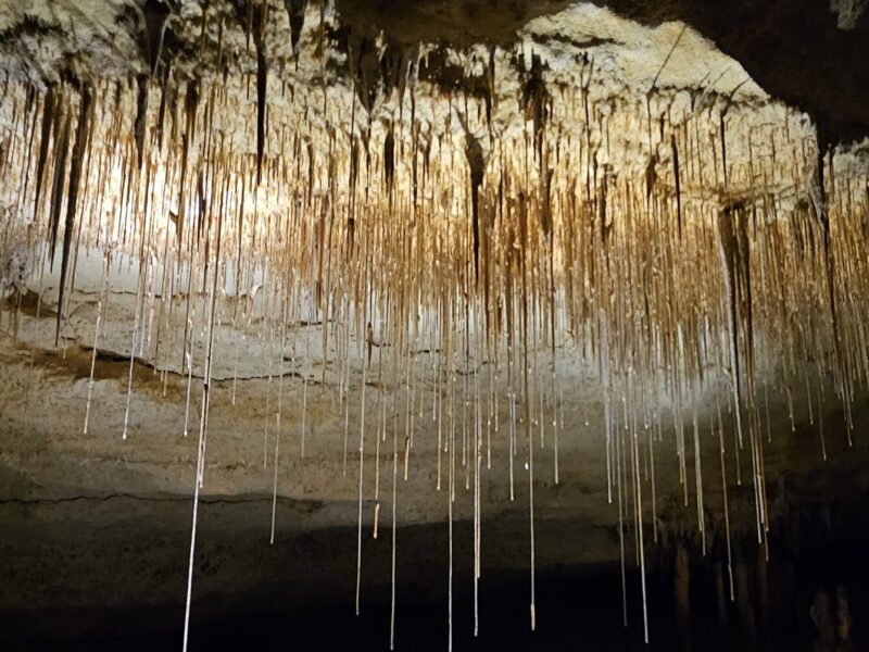 Straws forms on the ceiling of a limestone cave