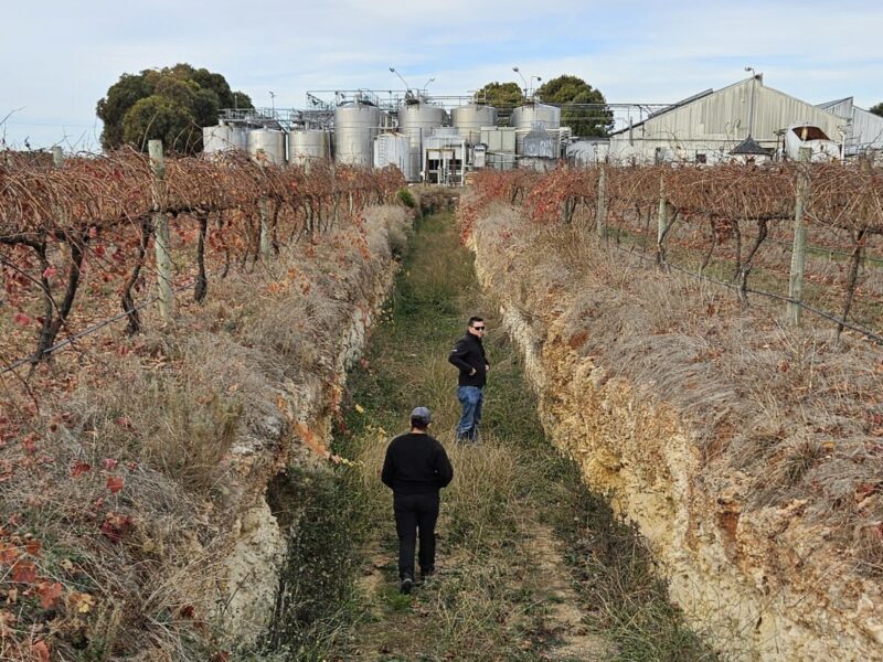 Two people in a soil profile pit in Coonawarra