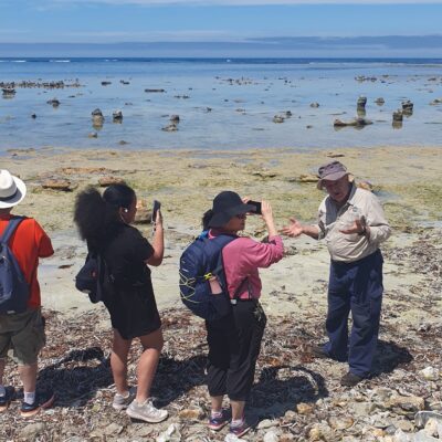 A group of tourists learning about the coastal ecosystem during a guided shoreline exploration on the Limestone Coast