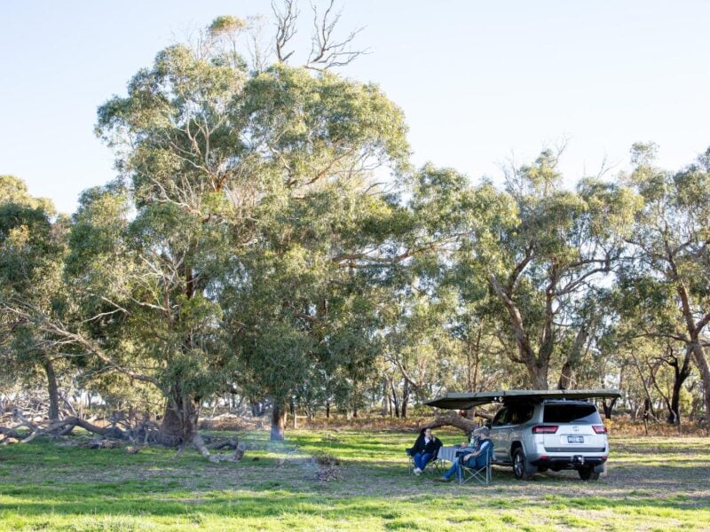 Wide view of bush picnic beside Toyota LandCruiser with guests enjoying the outdoors