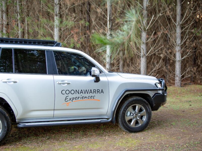 Side view of Coonawarra Experiences Toyota LandCruiser among dense pine trees