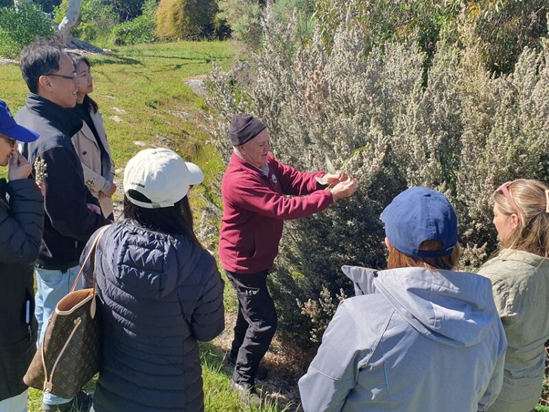 Uncle Ken Jones explaining native plants during a Boandik cultural experience