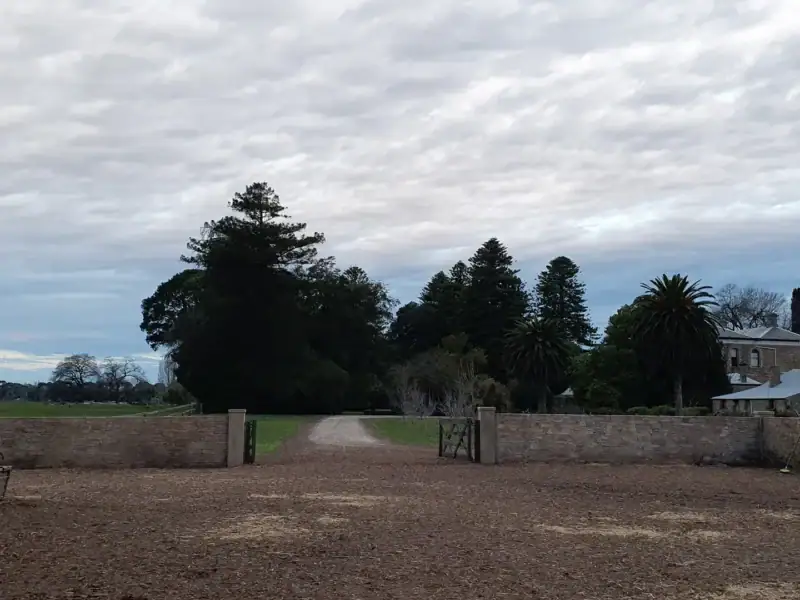 Gravel driveway leading through mature pine and palm trees toward Yallum Park homestead under an overcast sky
