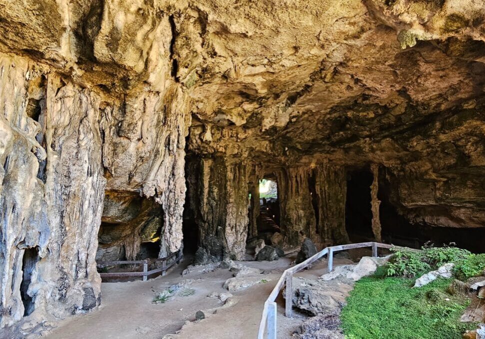 Coonawarra Experiences Naracoorte Caves (110)